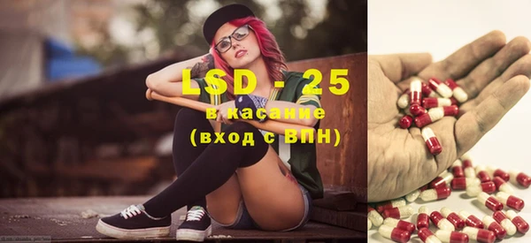 индика Белоозёрский