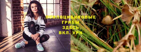 МДПВ Белокуриха