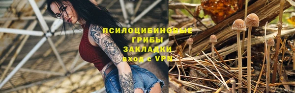 МДПВ Белокуриха